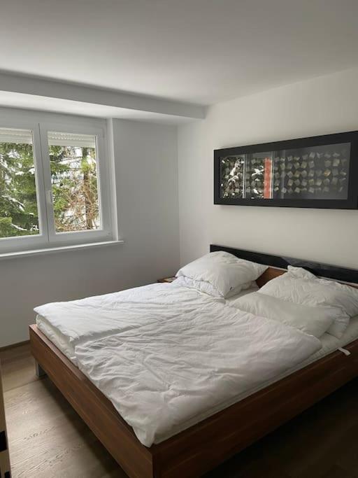 Seewohnung Mit Direktem Seezugang-Skiliftnaehe วิลลาค ภายนอก รูปภาพ
